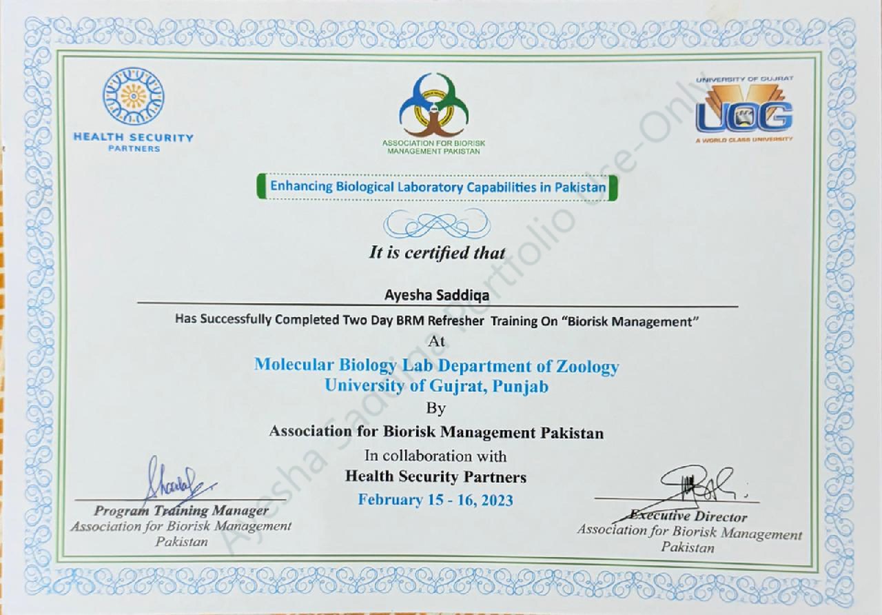 Certificate 3